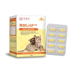 腎好LHP｜30包/盒｜毛益生｜台灣製造